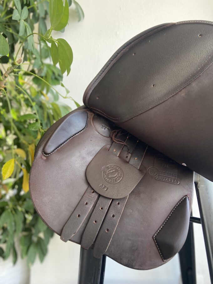 Antares Signature | 17"