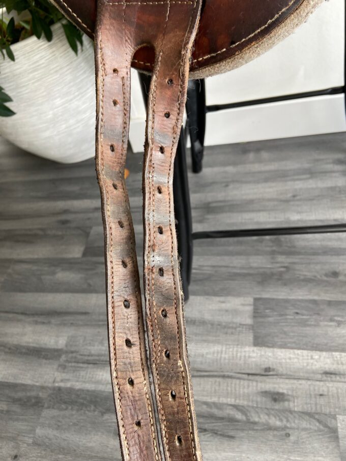 Bardette Hathor | 15,5"