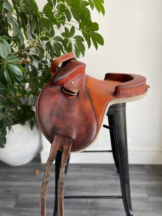 Bardette Hathor | 15,5"