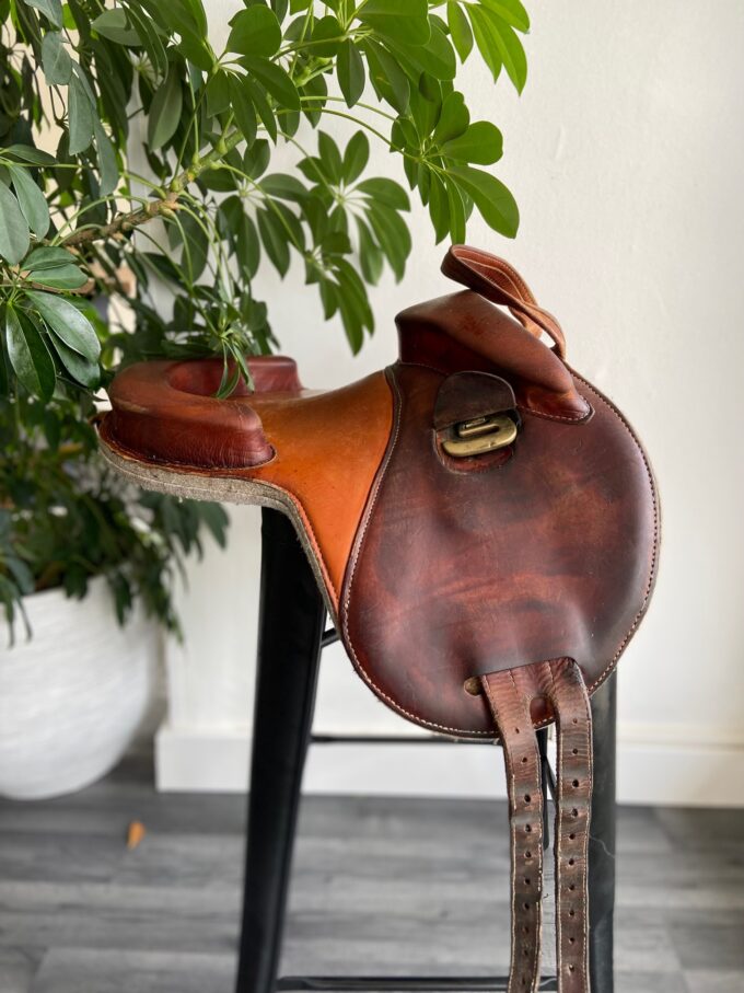Bardette Hathor | 15,5"