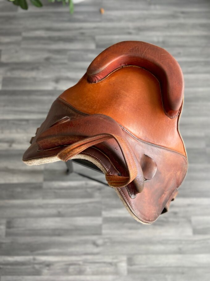 Bardette Hathor | 15,5"