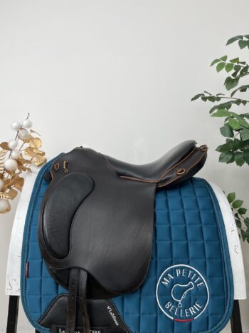 Gaston Mercier Sauveterre