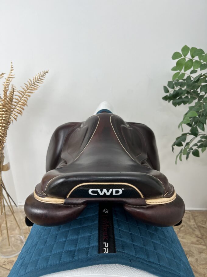 CWD 2gs