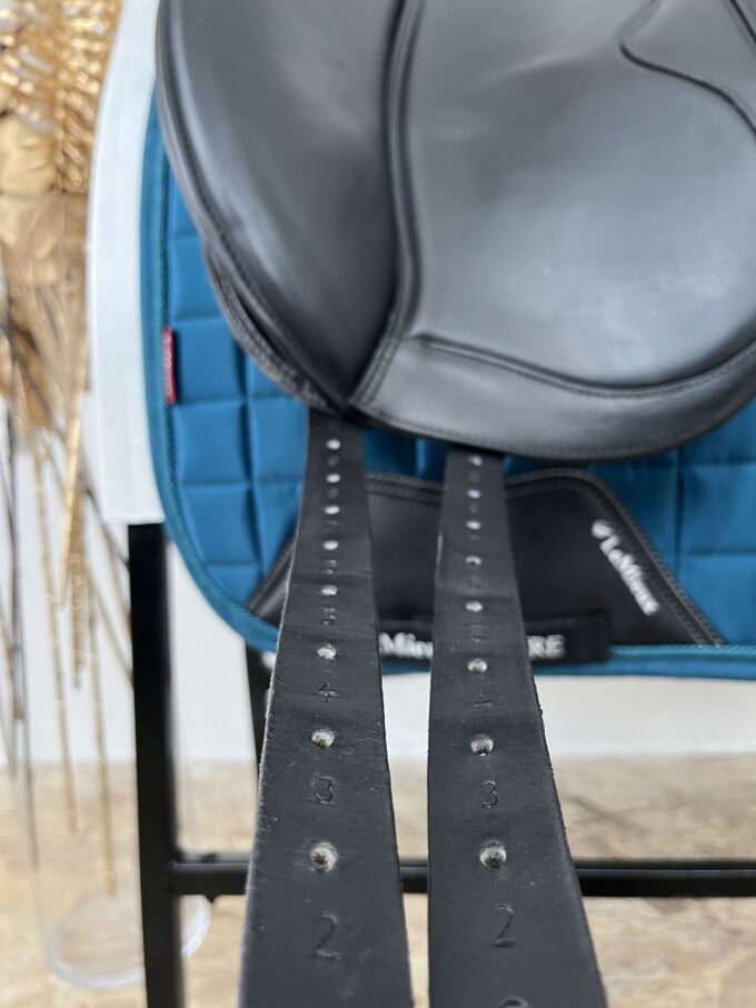 Equiline Shyny