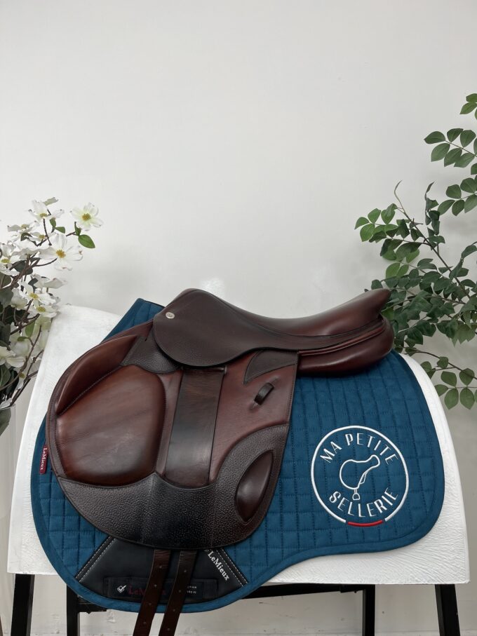CWD SE12