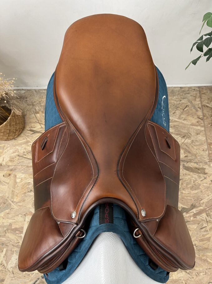 Renaissance F2S