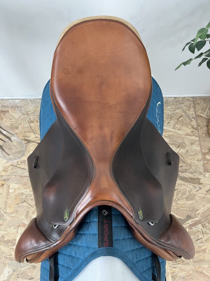 Prestige Appaloosa