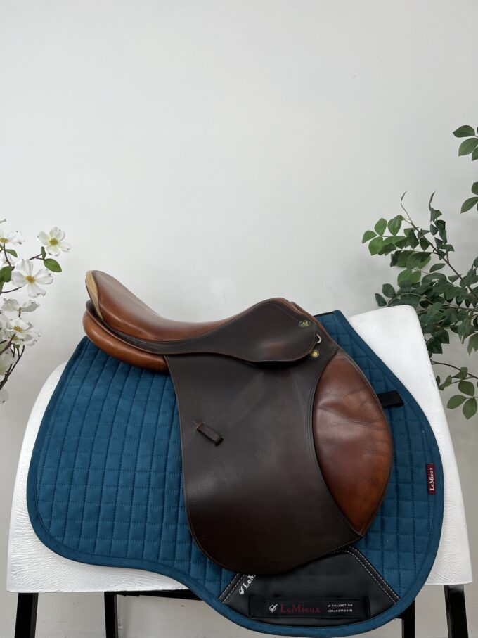 Prestige Appaloosa