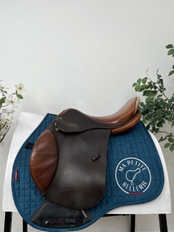 Prestige Appaloosa