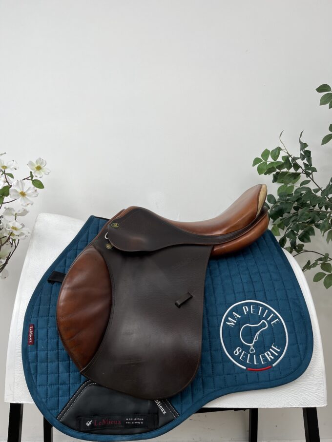 Prestige Appaloosa