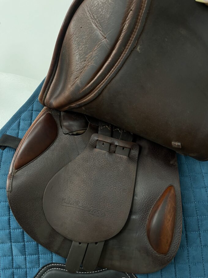 Prestige Appaloosa