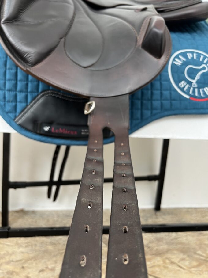 Antares Evolution-D