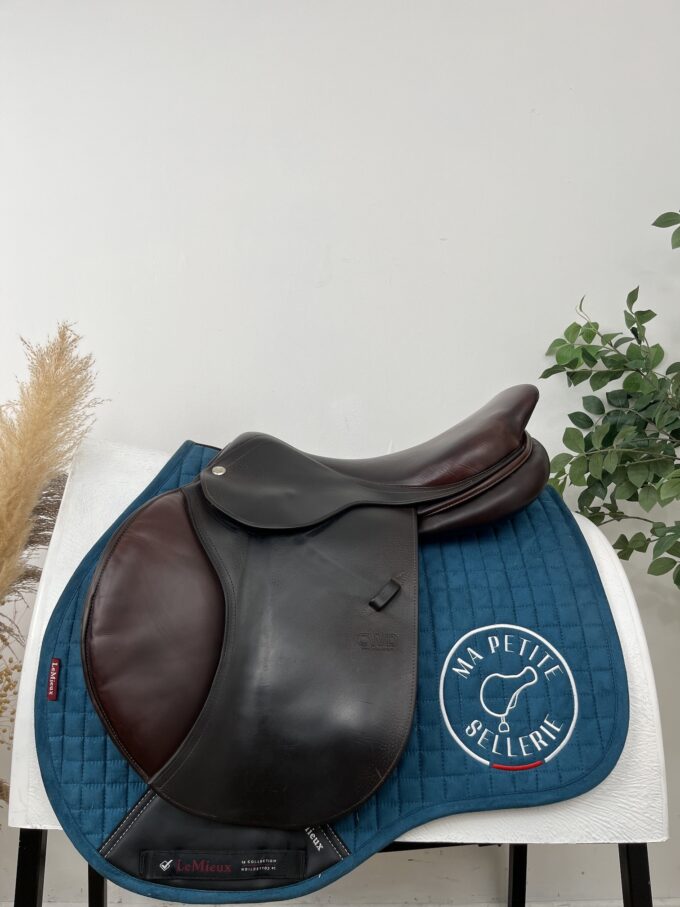 CWD SE06