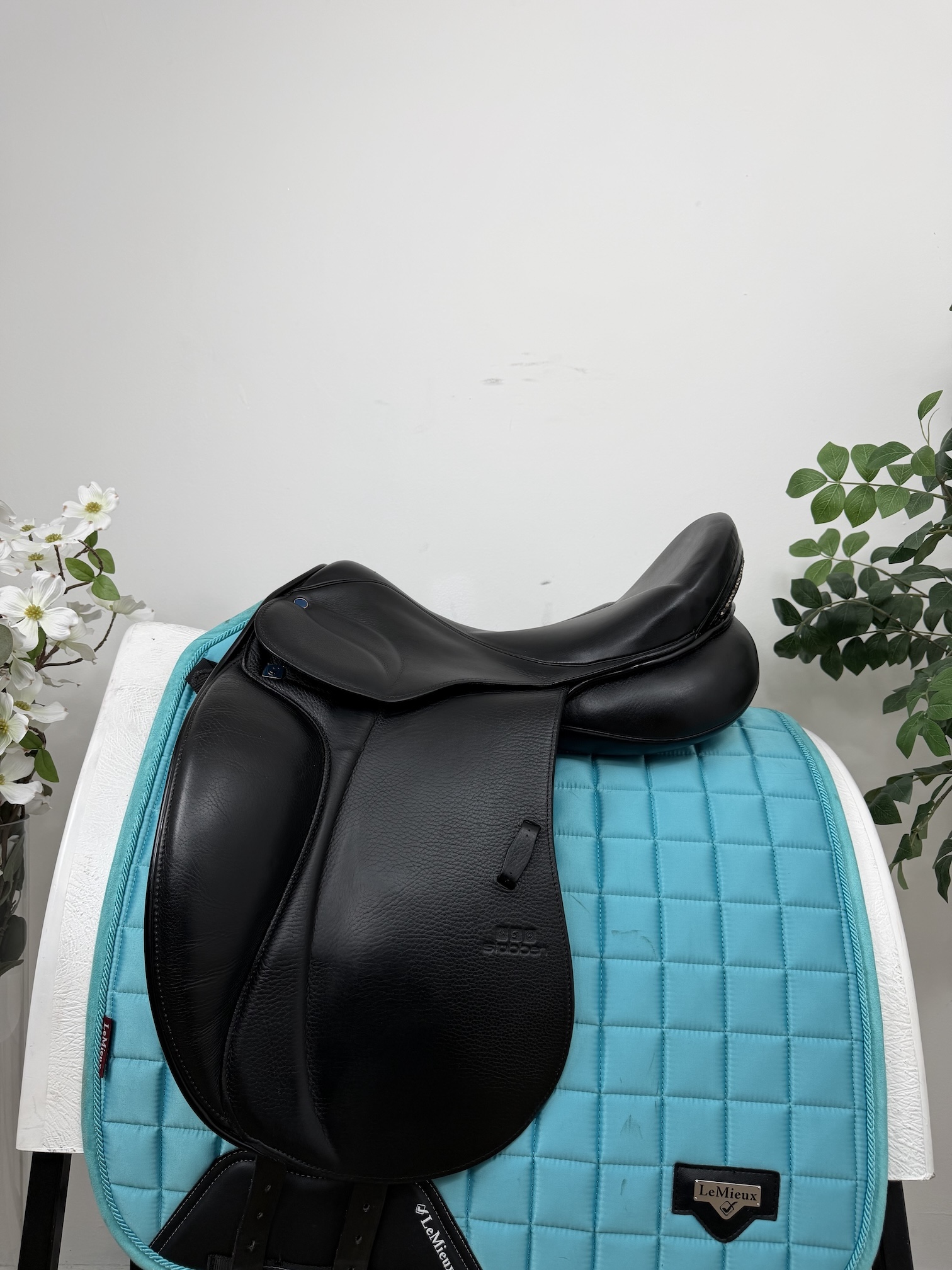 Stubben Aramis II GP