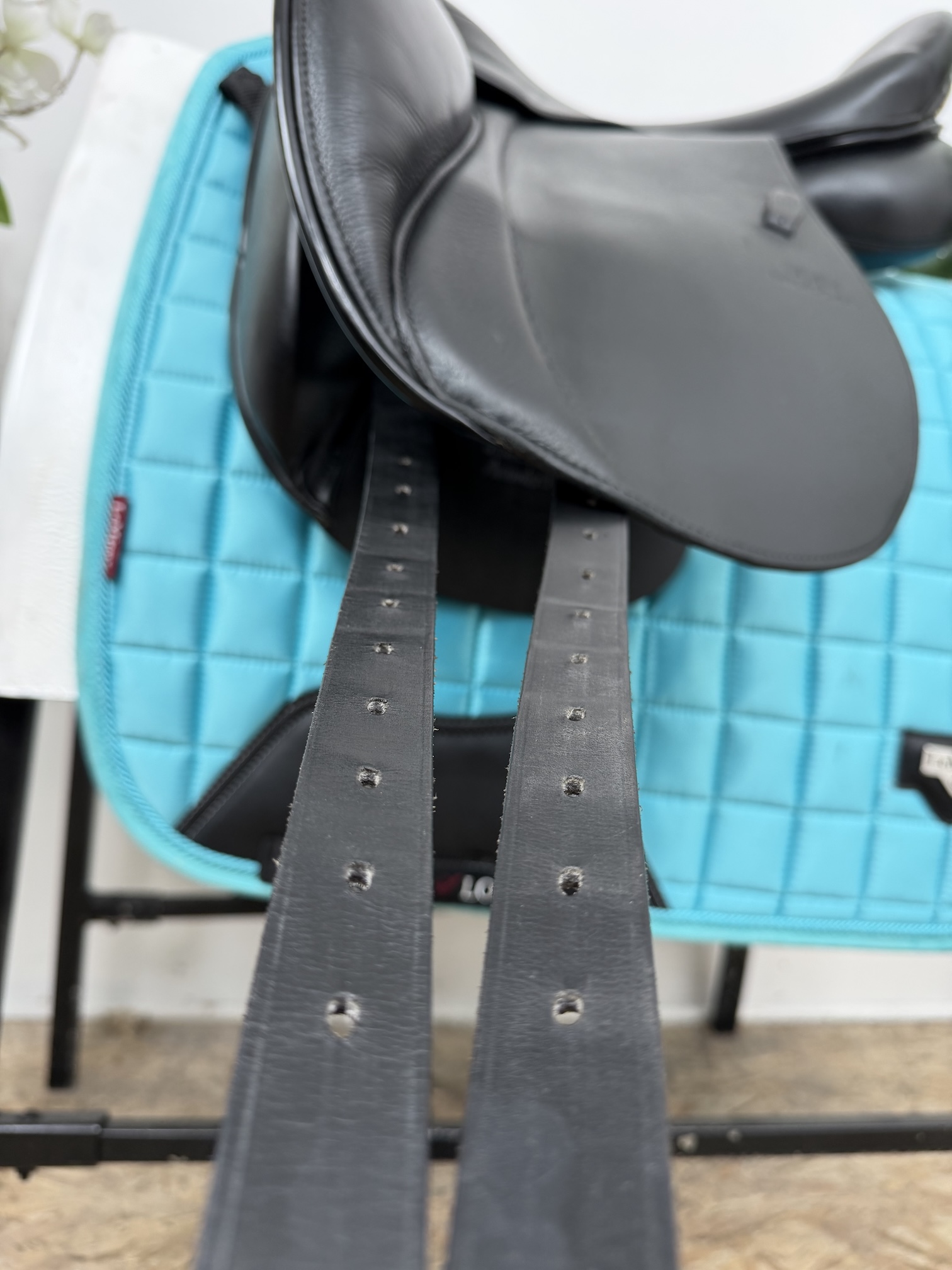 Stubben Aramis II GP