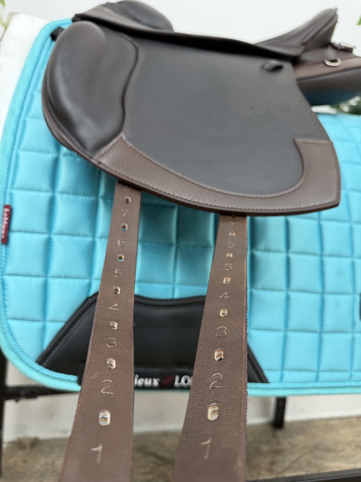 Prestige Athena Evo Flap