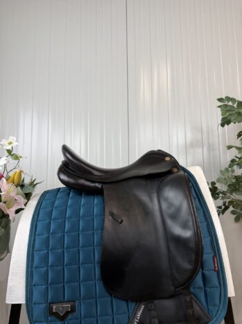 Prestige Top Dressage