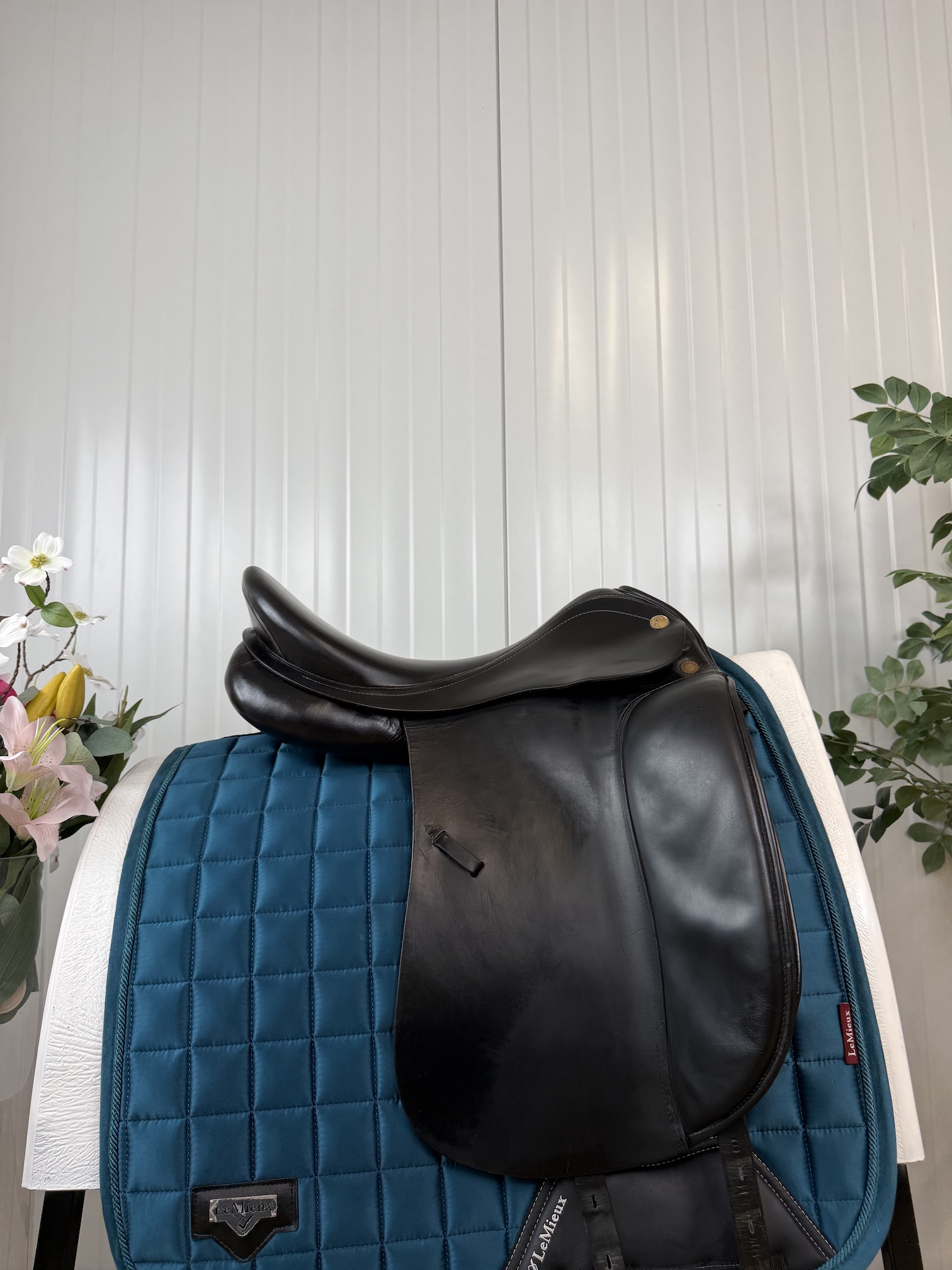 Prestige Top Dressage