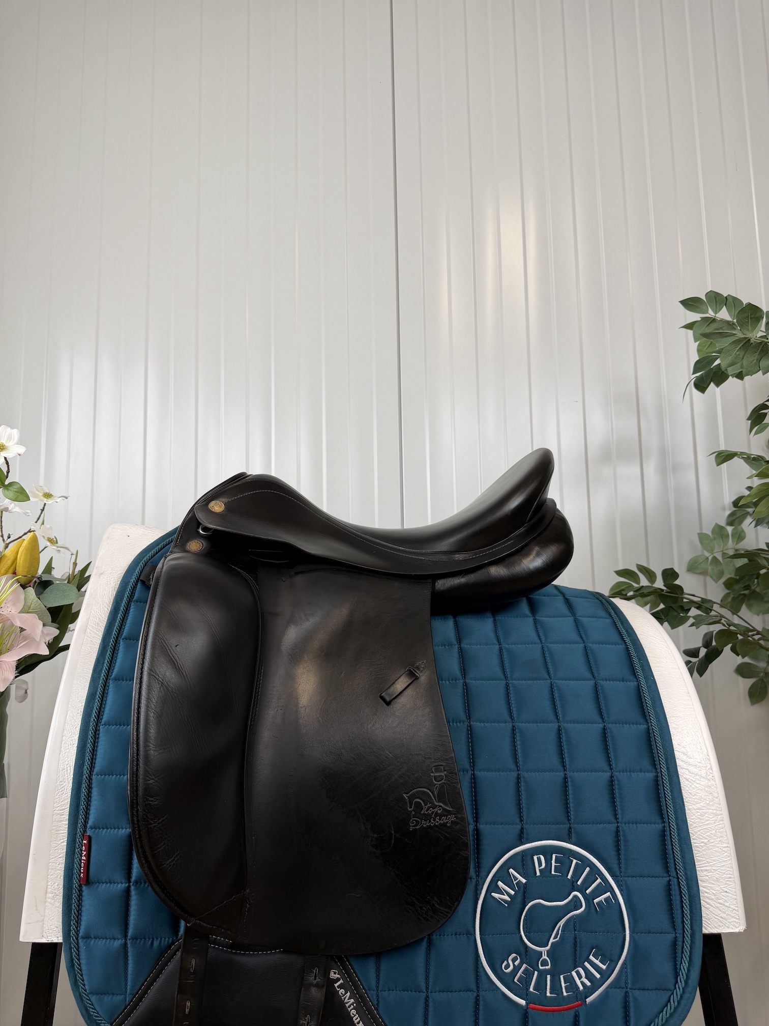 Prestige Top Dressage