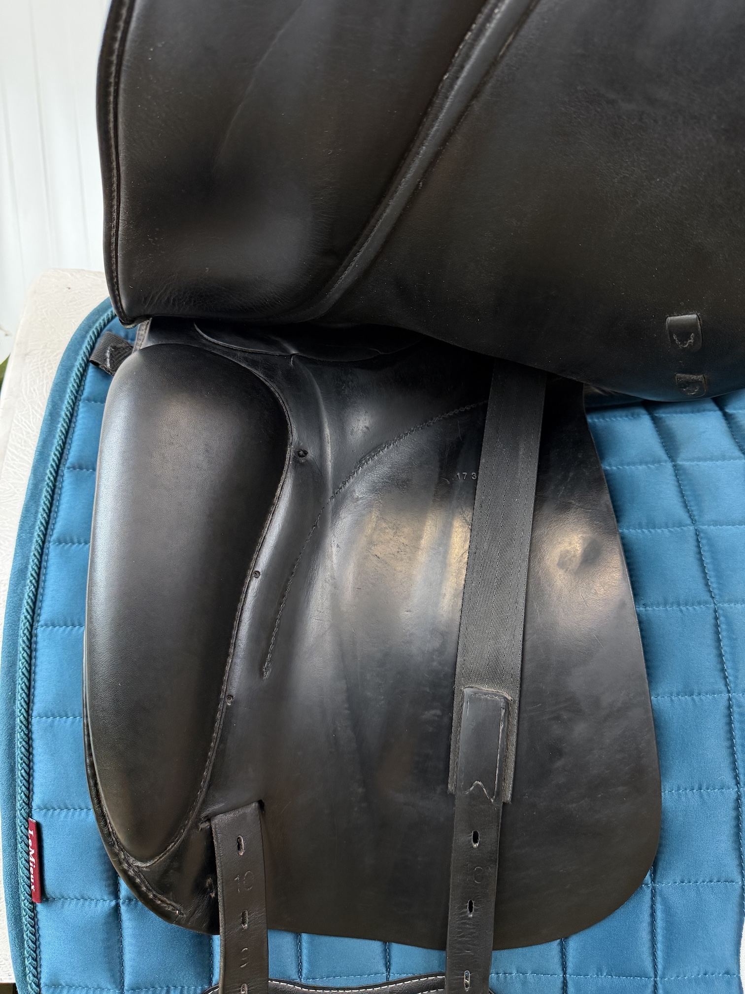 Prestige Top Dressage