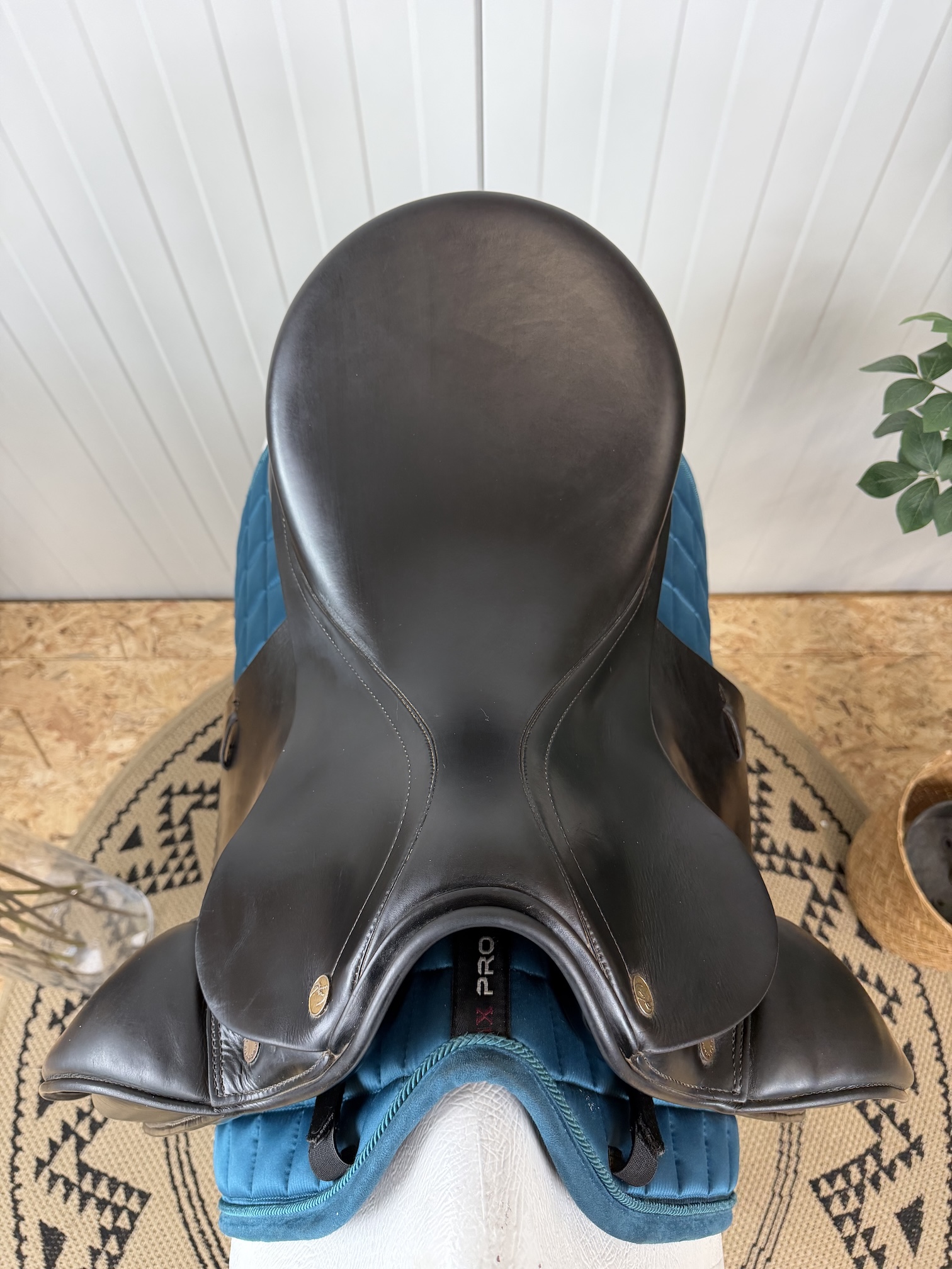 Prestige Top Dressage