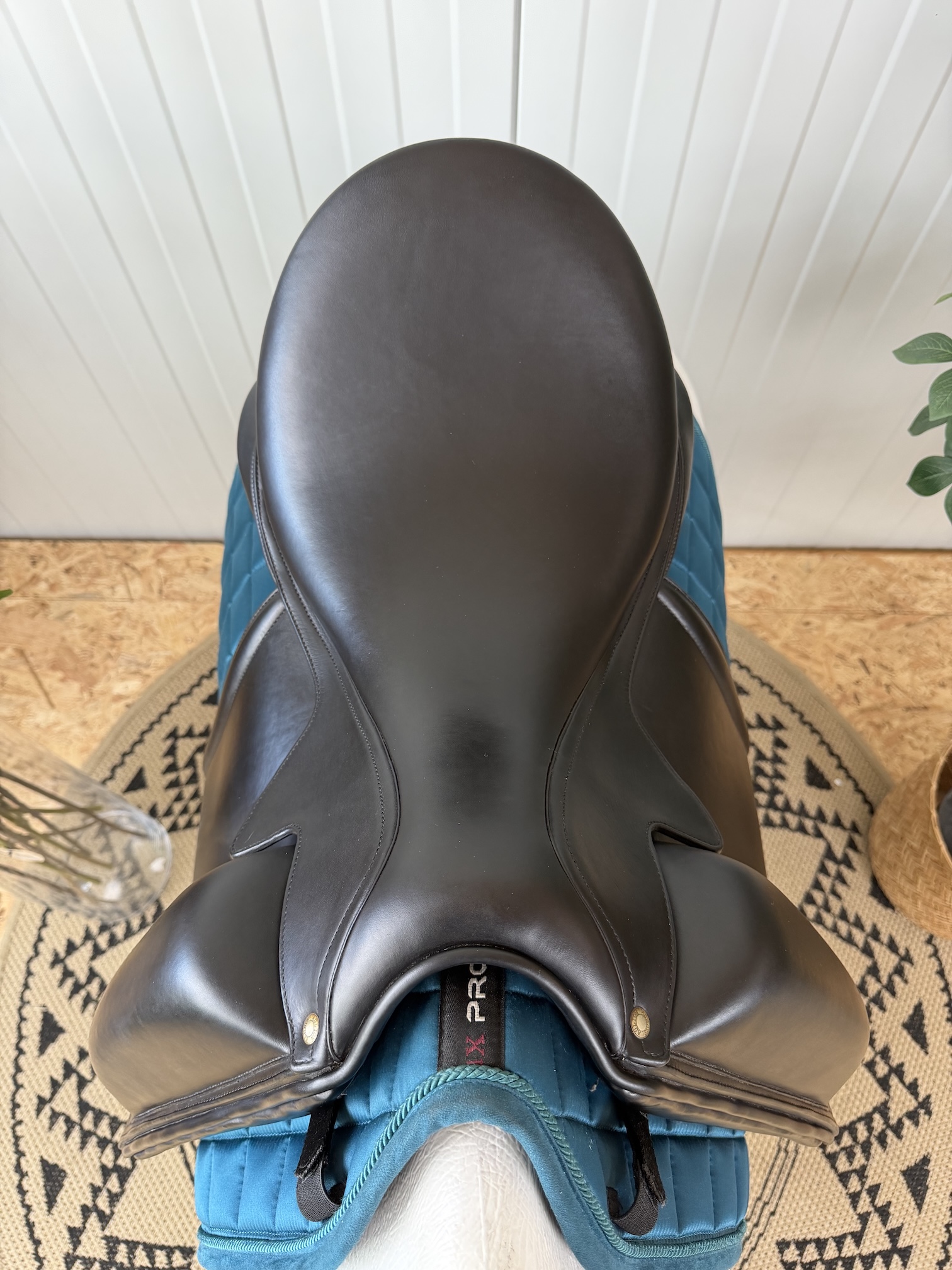Aulion dressage