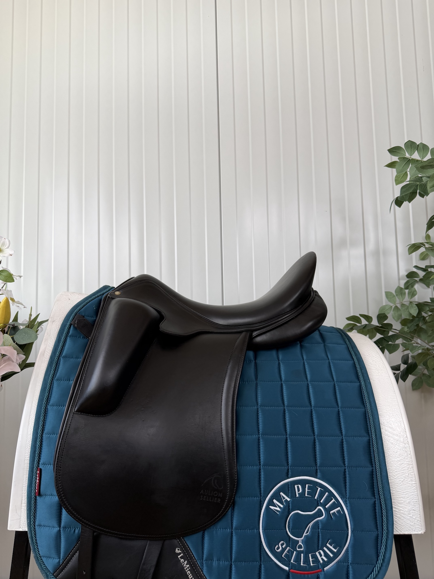 Aulion dressage
