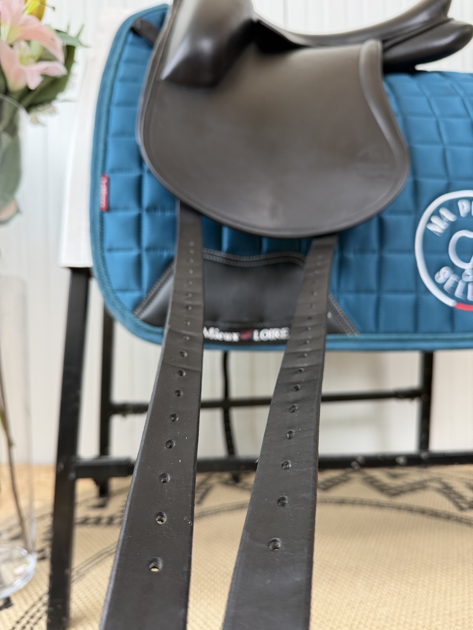 Aulion dressage