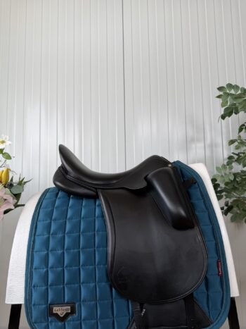 Aulion dressage