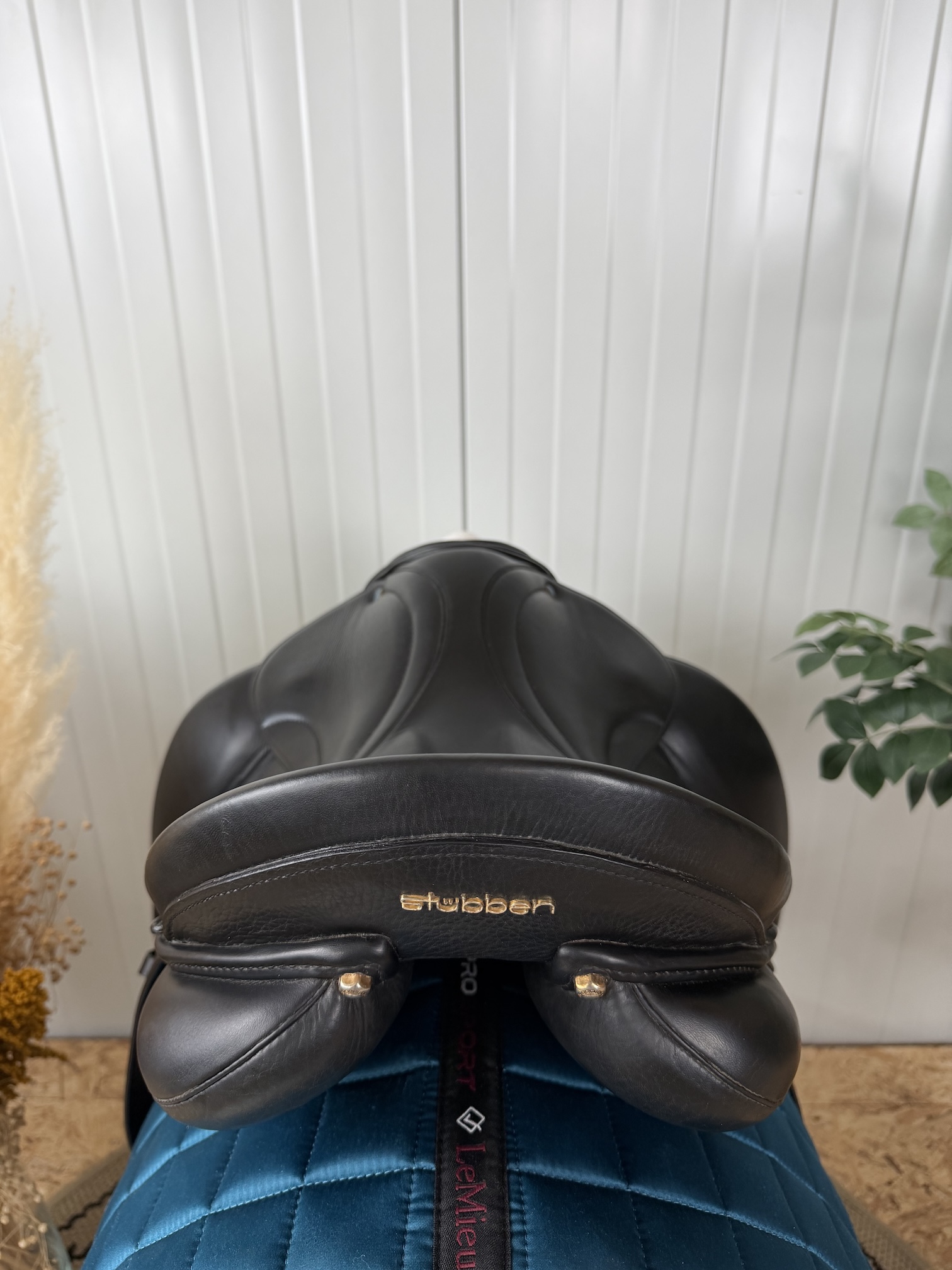 Stubben Genesis