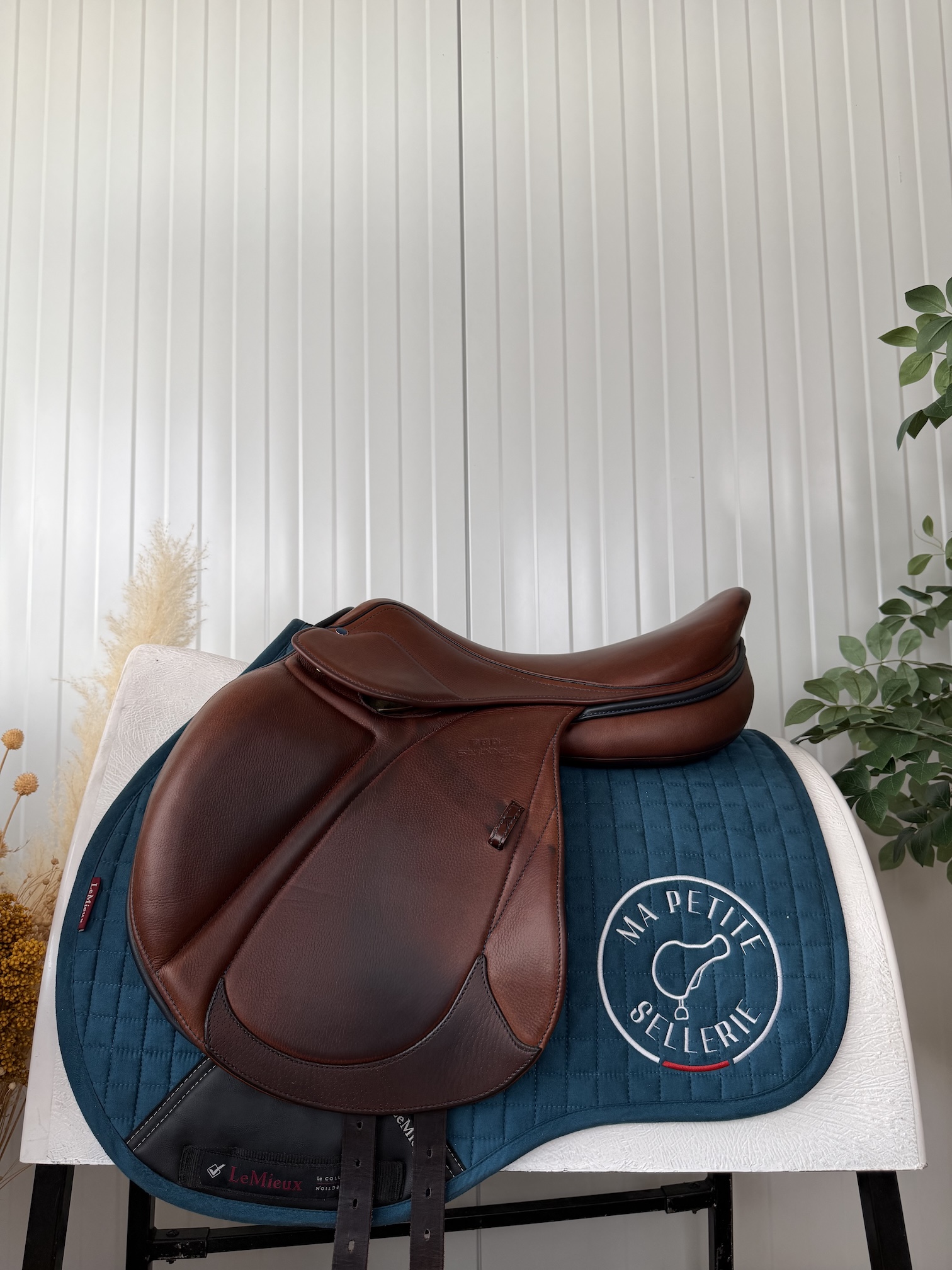 Stubben Aviator