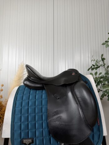 Kieffer Salzgeber DP Exclusiv