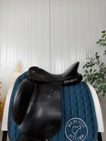 Kieffer Salzgeber DP Exclusiv