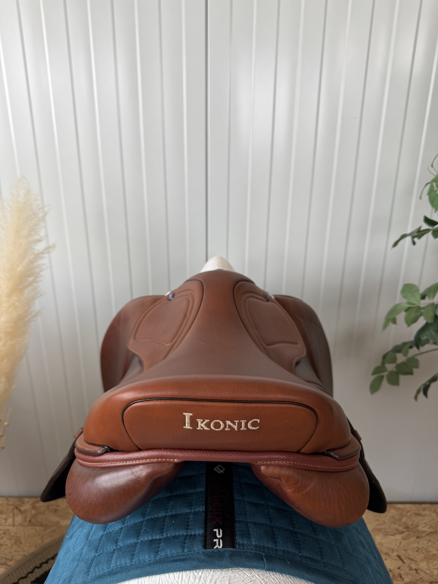 Ikonic Evolution