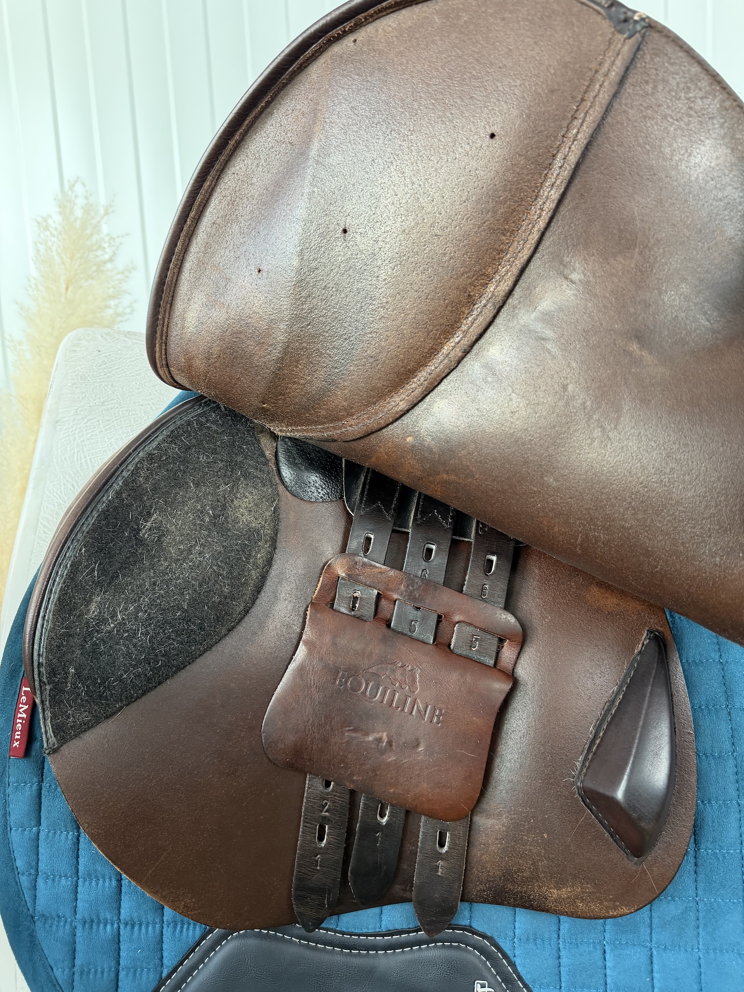Equiline Talent